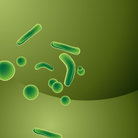 Image of Spores are part of mold's reproductive process - Mold Solutions NW