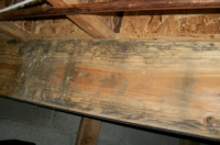 Mold on Joists - Mold Solutions NW