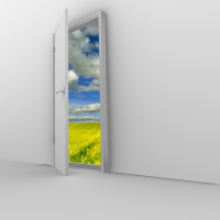 Open Door to Mold - Mold Solutions NW