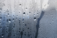 Condensation - Mold Solutions NW