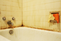 Bathroom Mold - Mold Solutions NW