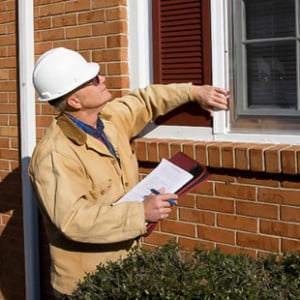 Mold Removal North Bend